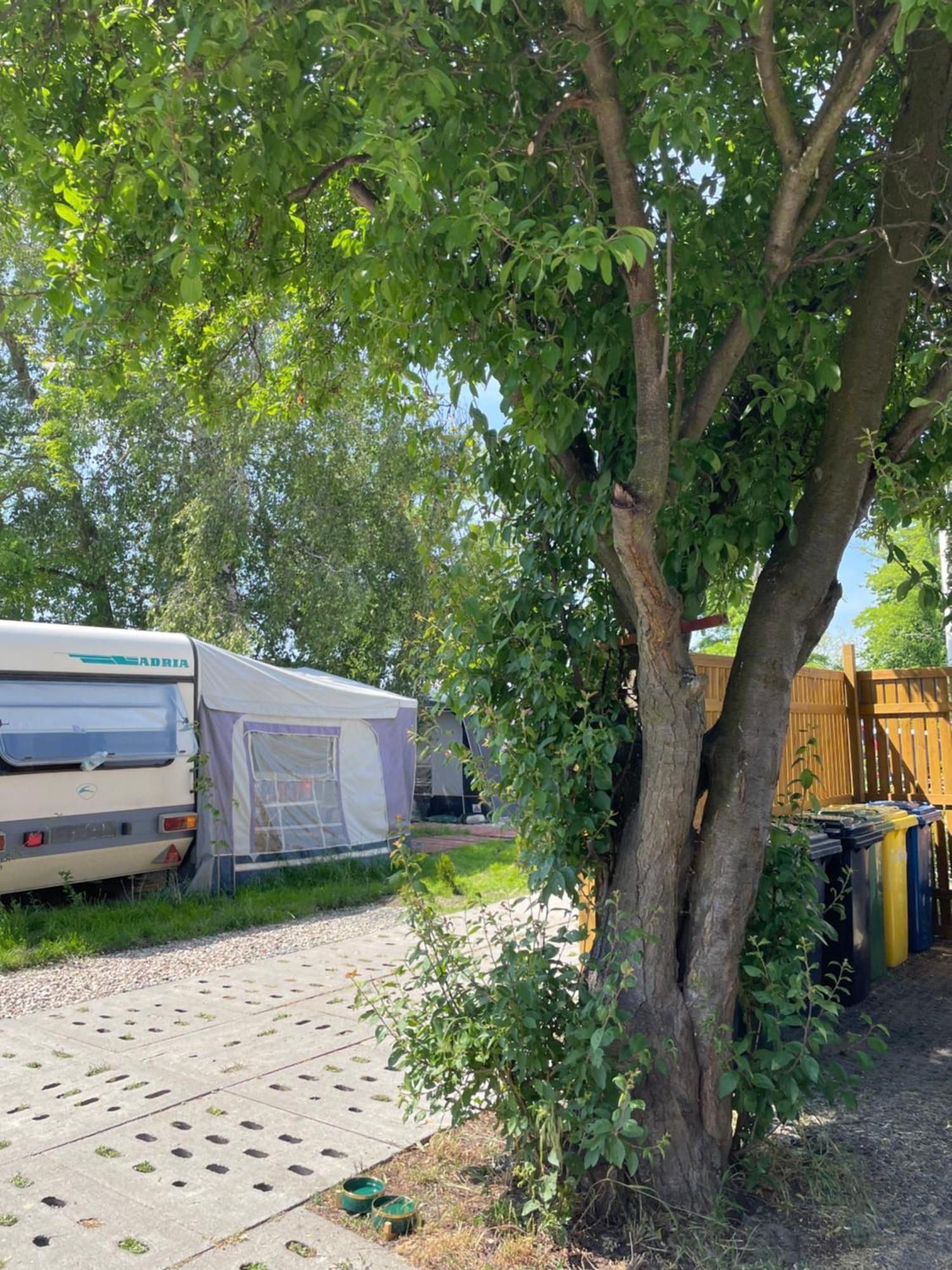 Отель Sonata Camp Ястарня Экстерьер фото